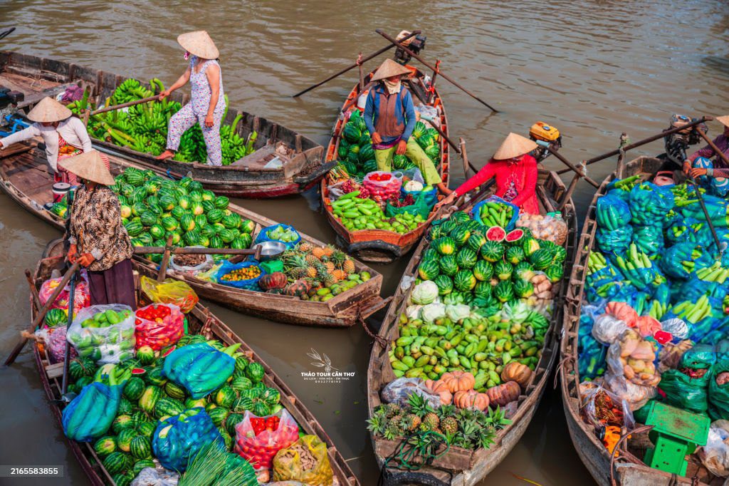 vựa trái cây miền tây