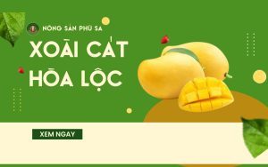 Xoài Cát Hòa Lộc