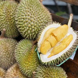 sầu riêng cái mơn (2)