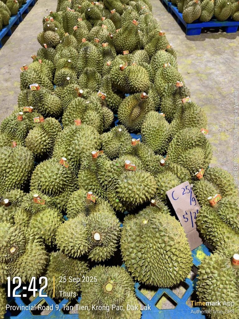 Mùa Sầu Riêng Tháng Mấy