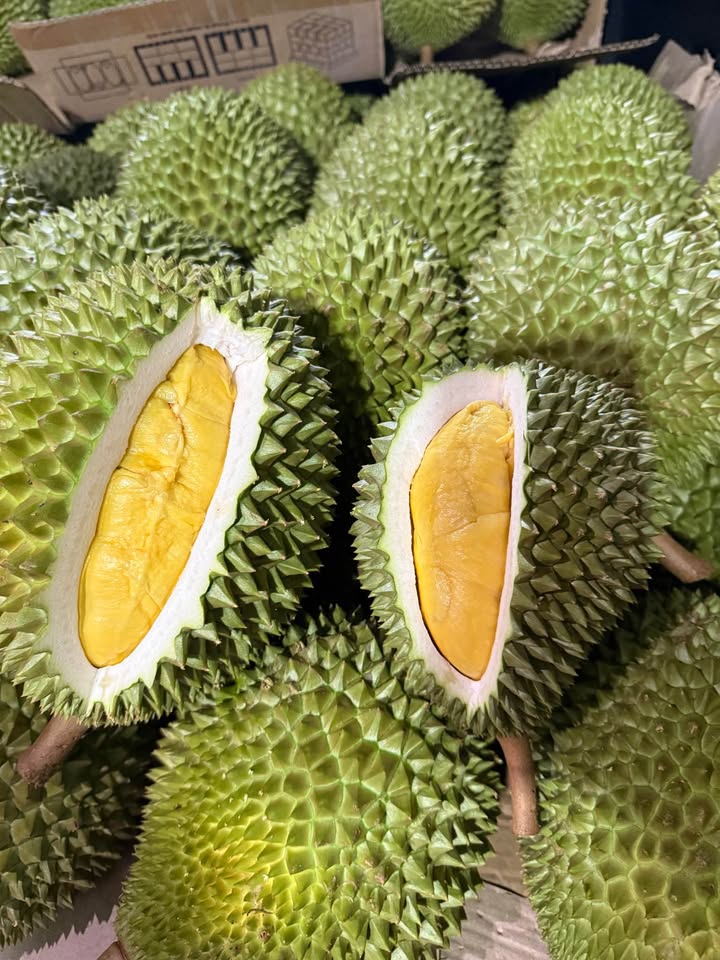 Sầu Riêng Thái (Monthong)