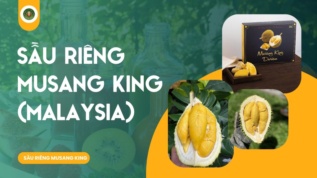 Sầu Riêng Musang King (Malaysia)