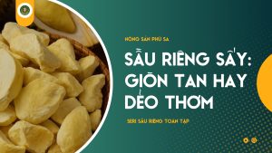 Sầu Riêng Sấy Giòn Tan Hay Dẻo Thơm