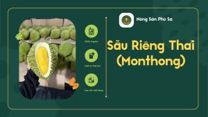 Sầu Riêng Thái (Monthong)
