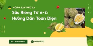 Sầu Riêng Từ A-Z Hướng Dẫn Toàn Diện