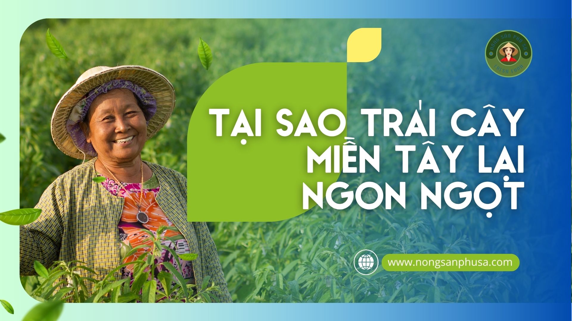 tại sao trái cây miền tây lại ngon ngọt