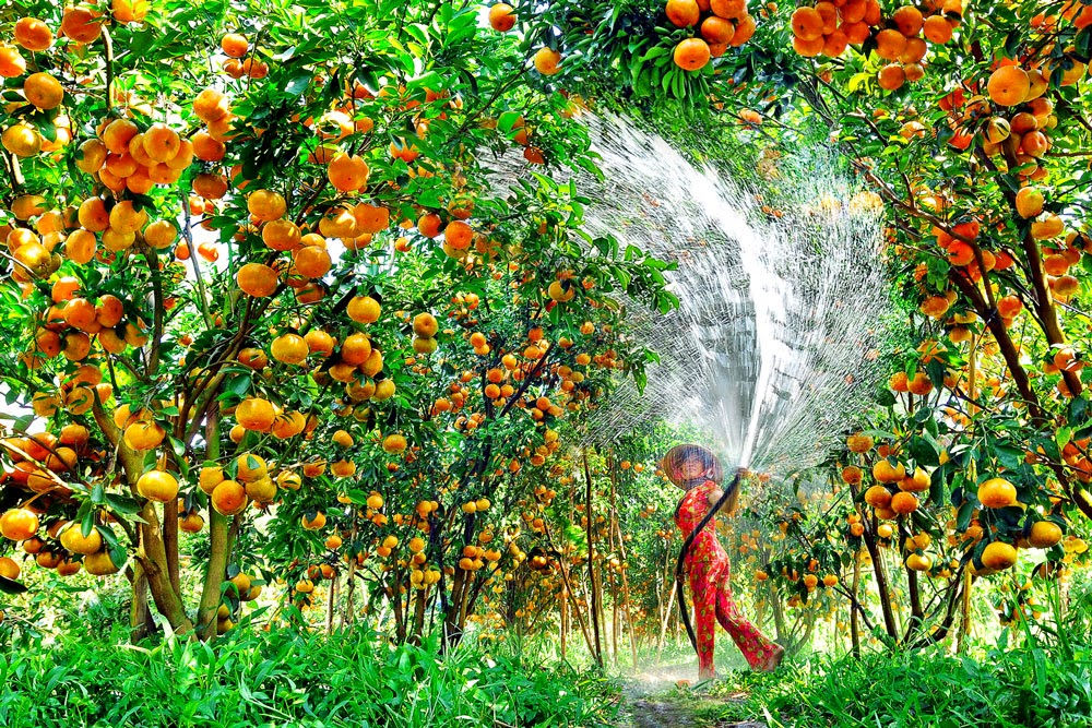 Nông sản phù sa
